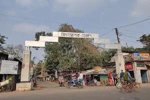 Vidyasagar Toran (Gate), Birsingha image