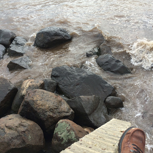 Park «Lemon Creek Park», reviews and photos, Hylan Blvd, Staten Island, NY 10309, USA