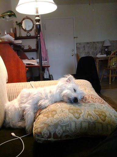 755 Barnum Avenue Cutoff, Stratford, CT 06614, USA