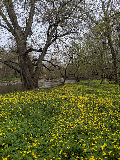 Nature Preserve «Sidney Yates Flatwoods», reviews and photos, N Caldwell Ave, Chicago, IL 60646, USA