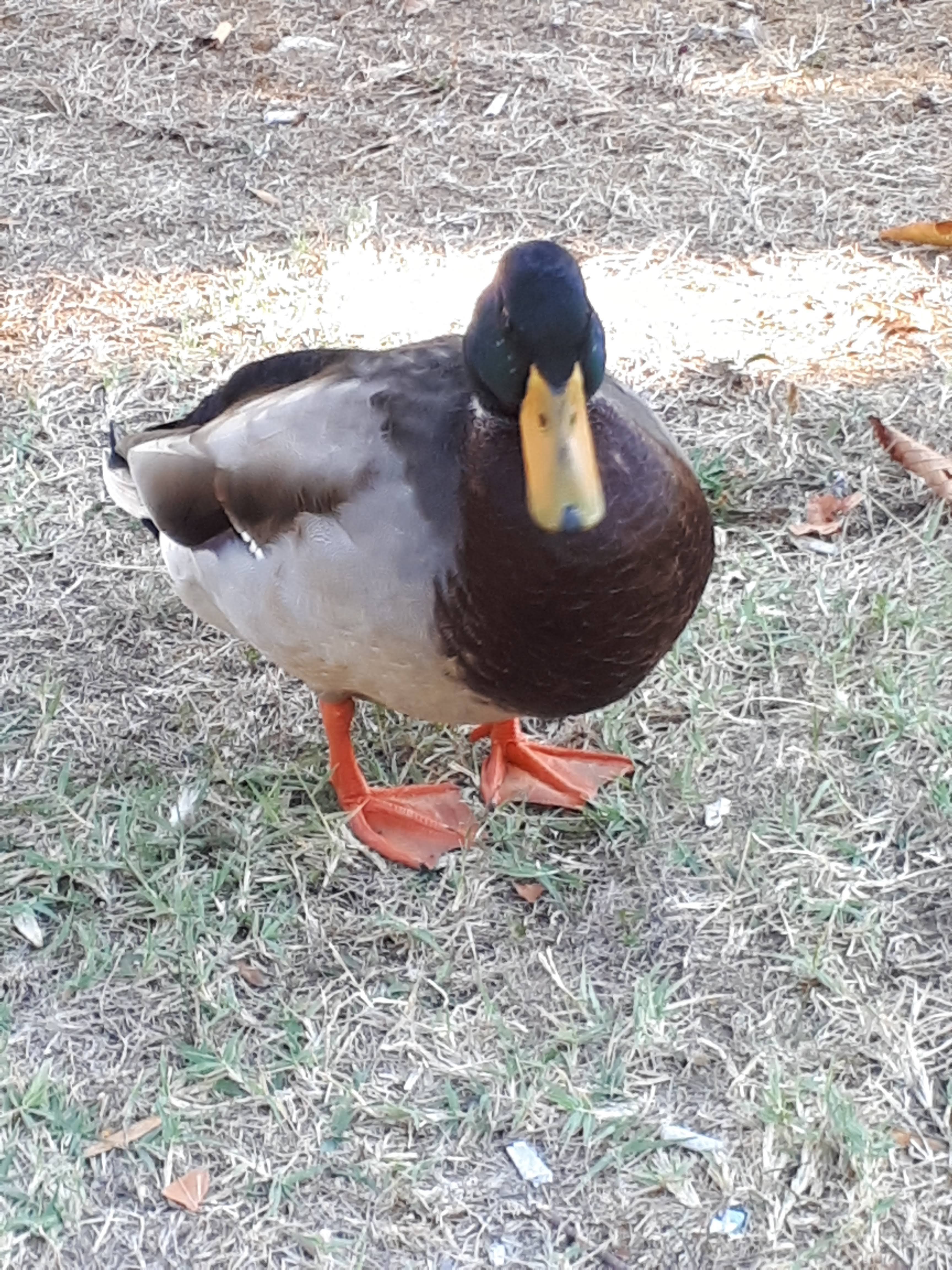Photo n° 3 de l'avis de francoise.a fait le 24/09/2022 à 17:48