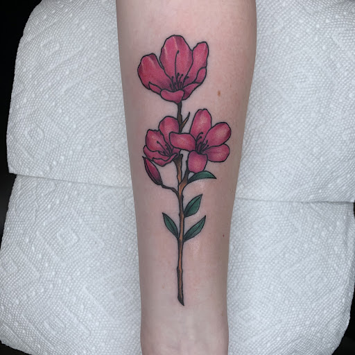 Explore colour tattoo sleeve ideas, creative tattoo ideas in Indianapolis, available at Golden Goose Tattoo Company