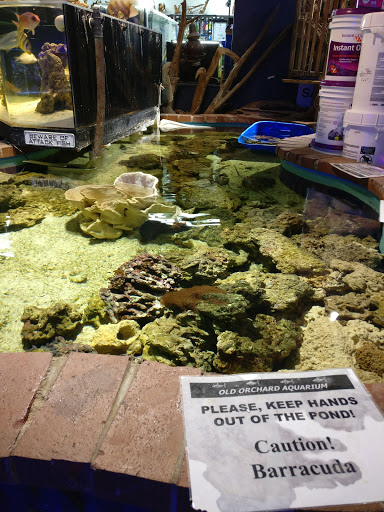 Aquarium «Old Orchard Aquarium», reviews and photos, 9235 Skokie Blvd, Skokie, IL 60077, USA