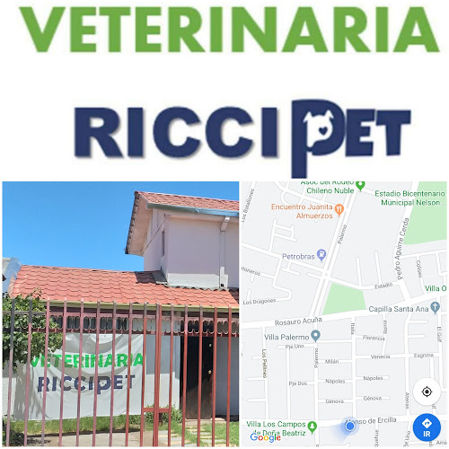 Opiniones de Veterinaria Riccipet en Chillán - Veterinario