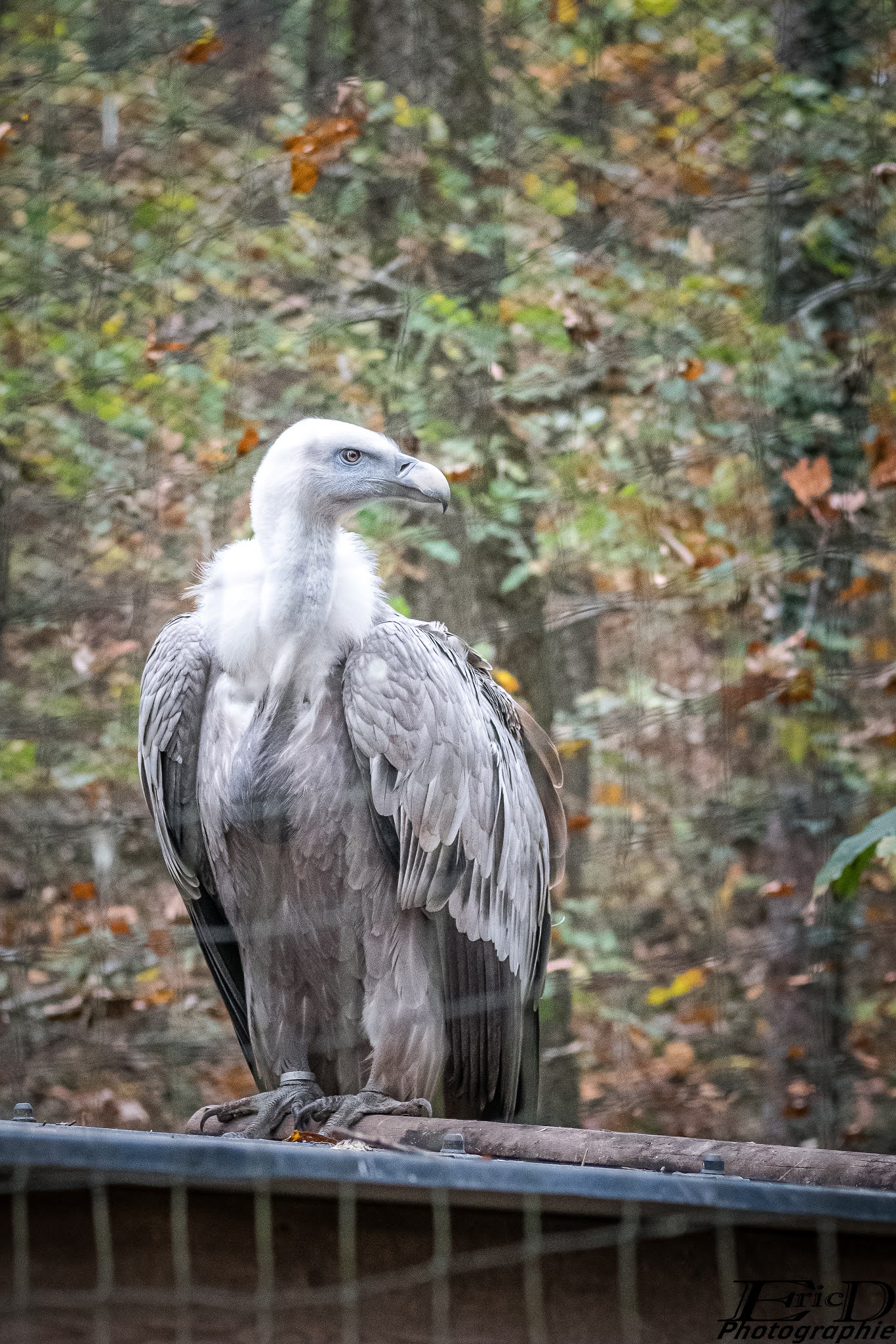 Photo n° 5 de l'avis de Ricou.H fait le 28/10/2020 à 16:42