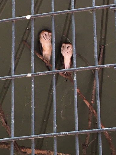 Non-Profit Organization «Dauset Trails Nature Center», reviews and photos, 360 Mt Vernon Church Rd, Jackson, GA 30233, USA