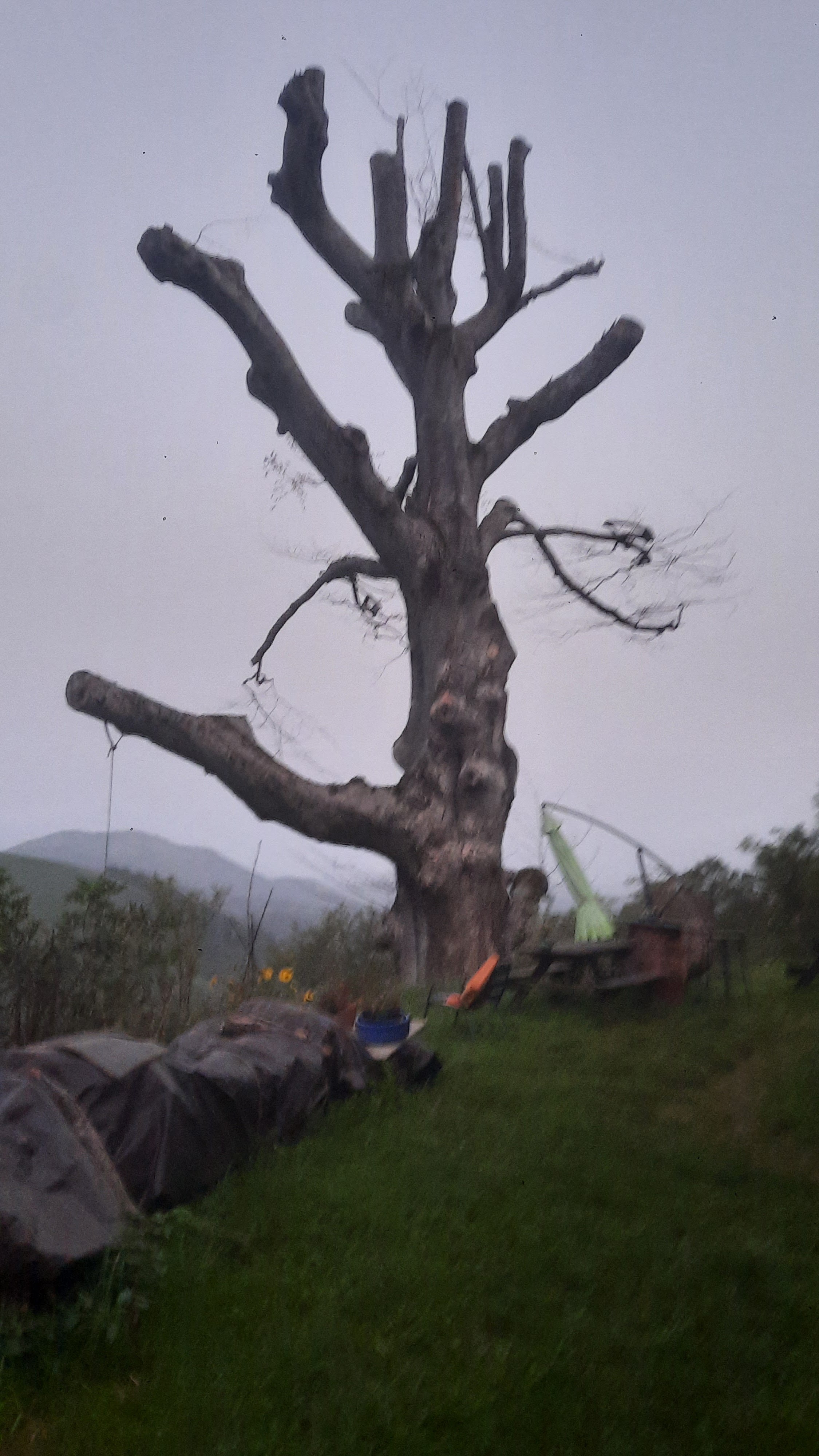 Photo n° 19 de l'avis de Stéphane.o fait le 04/09/2023 à 19:30