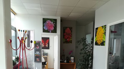Dr Jean Camille CHAPPOUX à Plaisance-du-Touch