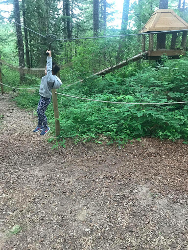 Tourist Attraction «Tree to Tree Adventure Park», reviews and photos, 2975 SW Nelson Rd, Gaston, OR 97119, USA