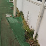 Photo n°3 de l'avis de Biagio.A fait le 24/03/2024 à 06:16 sur le  Re Chef à Bacoli