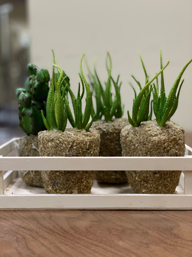 Thrift Store «FODAC Community Thrift Store», reviews and photos, 4900 Lewis Rd, Stone Mountain, GA 30083, USA