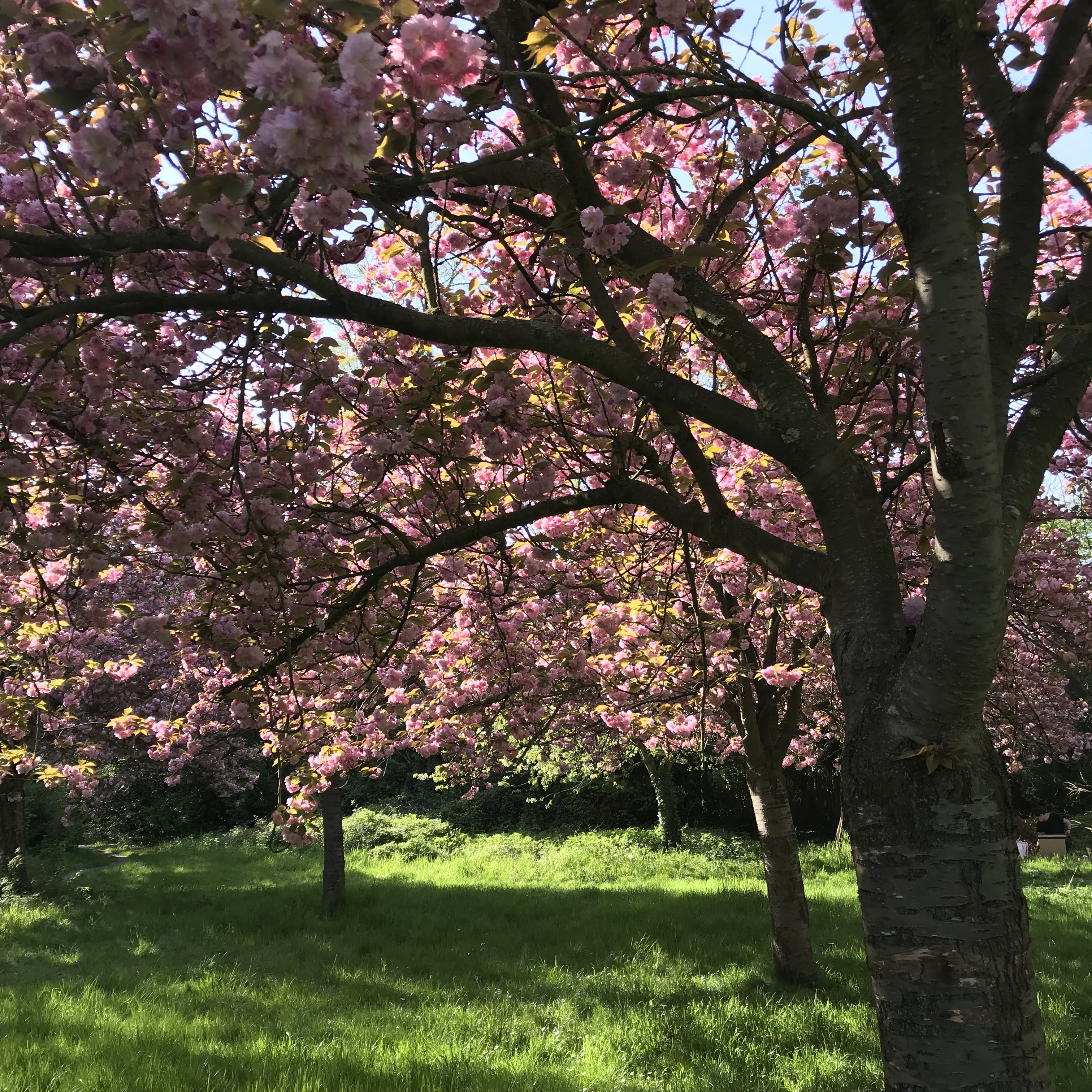 Photo n° 1 de l'avis de Franck.a fait le 02/05/2018 à 05:52