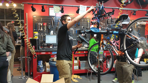Bicycle Store «Trek Bicycle Store», reviews and photos, 651 US-30, Schererville, IN 46375, USA