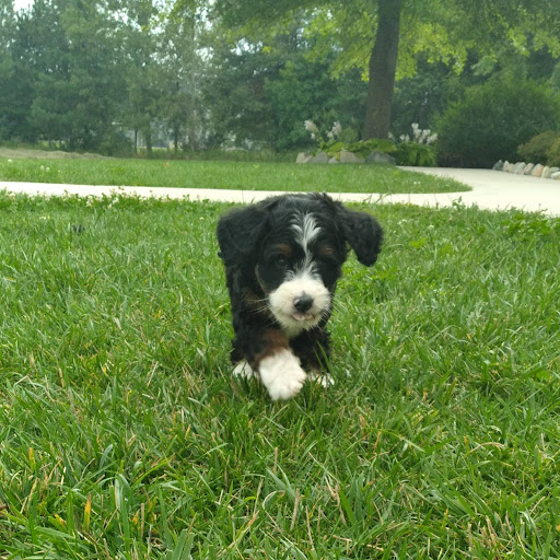 Park «Sewell Park», reviews and photos, 1801 NW S River Dr, Miami, FL 33125, USA