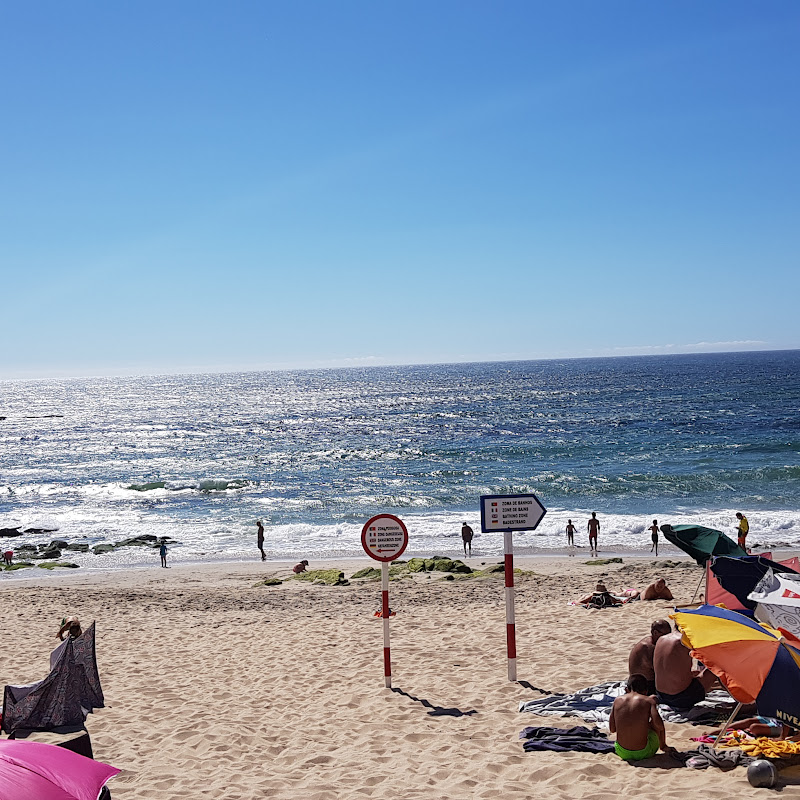 Beach Árvore