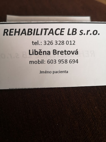 Recenze na Rehabilitace Lb, S.r.o. v Mladá Boleslav - Fyzioterapeut