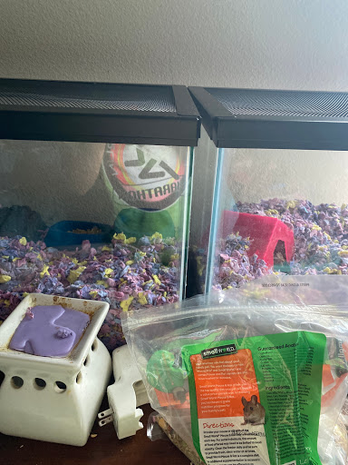 Pet Store «Everything Pet», reviews and photos, 3616 N Fry Rd, Katy, TX 77449, USA