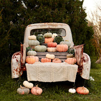 Sharp Farm Photography Venue - Photo 6 - Car repair in Swartz Creek, MI, Flint