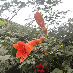 Photo n°5 de l'avis de R.c fait le 08/09/2022 à 13:15 sur le  Burg Klöden à Jessen