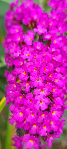 Winery «Echo Hill Orchards & Winery», reviews and photos, 101 Wilbraham Rd, Monson, MA 01057, USA