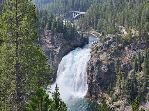 National Park «Yellowstone National Park», reviews and photos