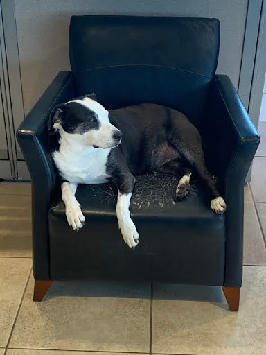 Car Dealer «Mark Sweeney Buick GMC», reviews and photos, 3365 Highland Ave, Cincinnati, OH 45213, USA