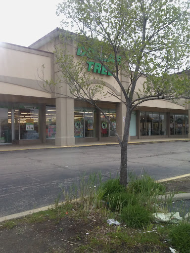 Dollar Store «Dollar Tree», reviews and photos, 528 North Ave, Glendale Heights, IL 60139, USA