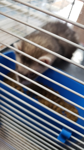 Pet Store «V.I. Pets», reviews and photos, 11975 E Lakewood Blvd, Holland, MI 49424, USA