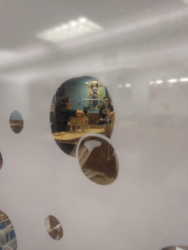 Pet Supply Store «PetSmart», reviews and photos, 8281 Troy Pike, Huber Heights, OH 45424, USA