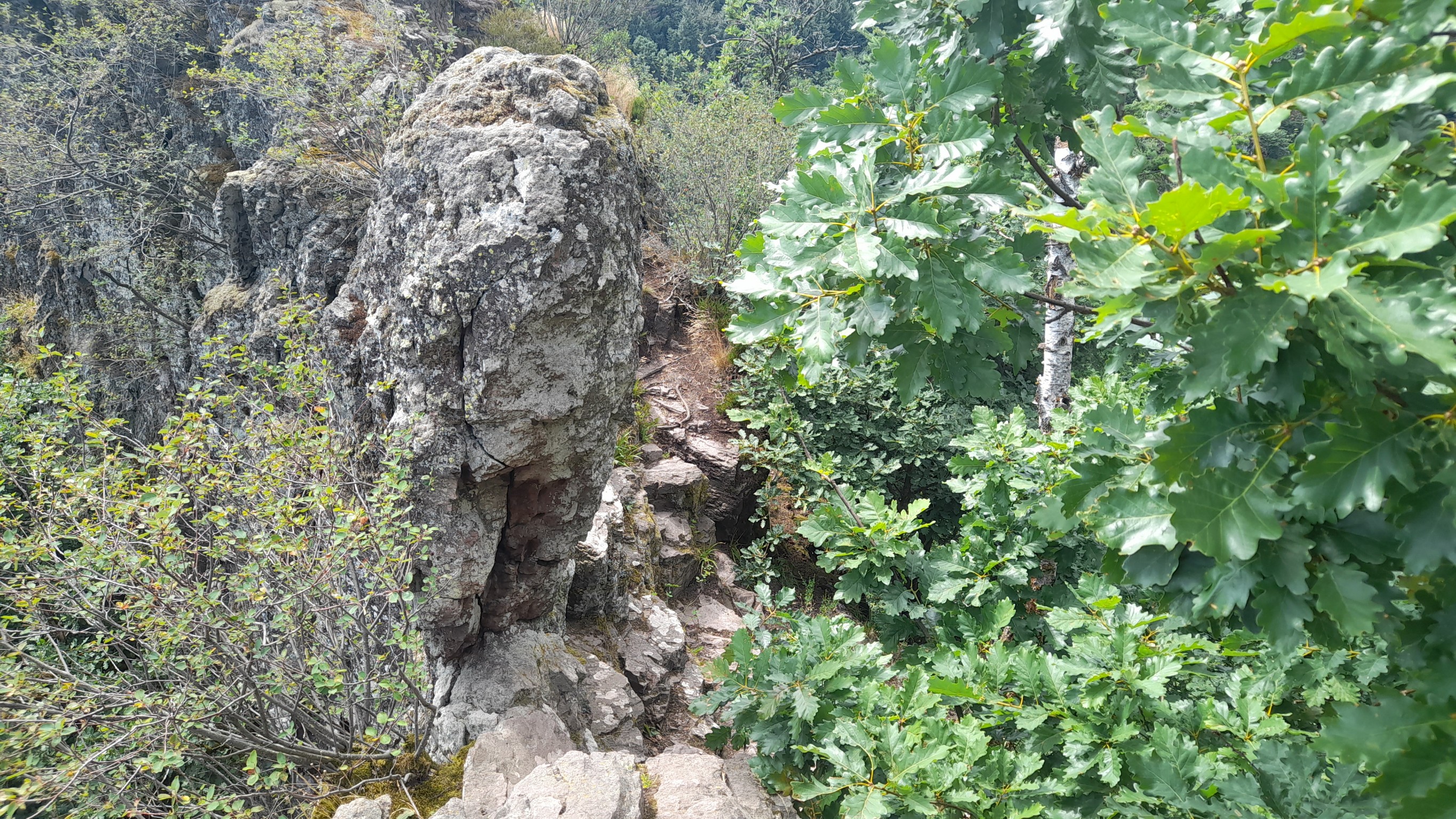 Photo n° 23 de l'avis de Kris.c fait le 20/07/2022 à 13:28