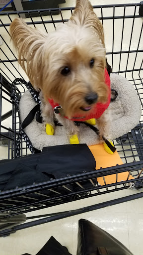 Pet Supply Store «Petco Animal Supplies», reviews and photos, 1 US-46, Totowa, NJ 07512, USA