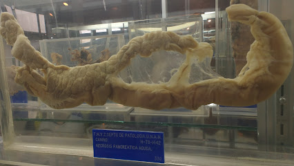 Museo de Anatomía y Patología