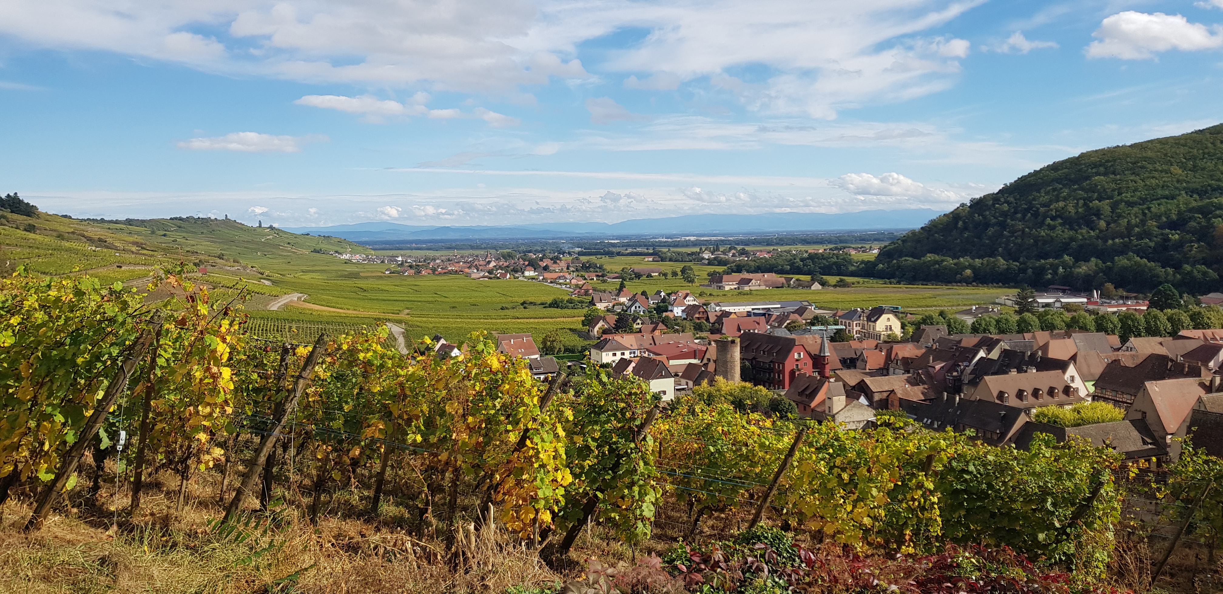 Photo n° 10 de l'avis de Nadine.a fait le 05/10/2021 à 15:20