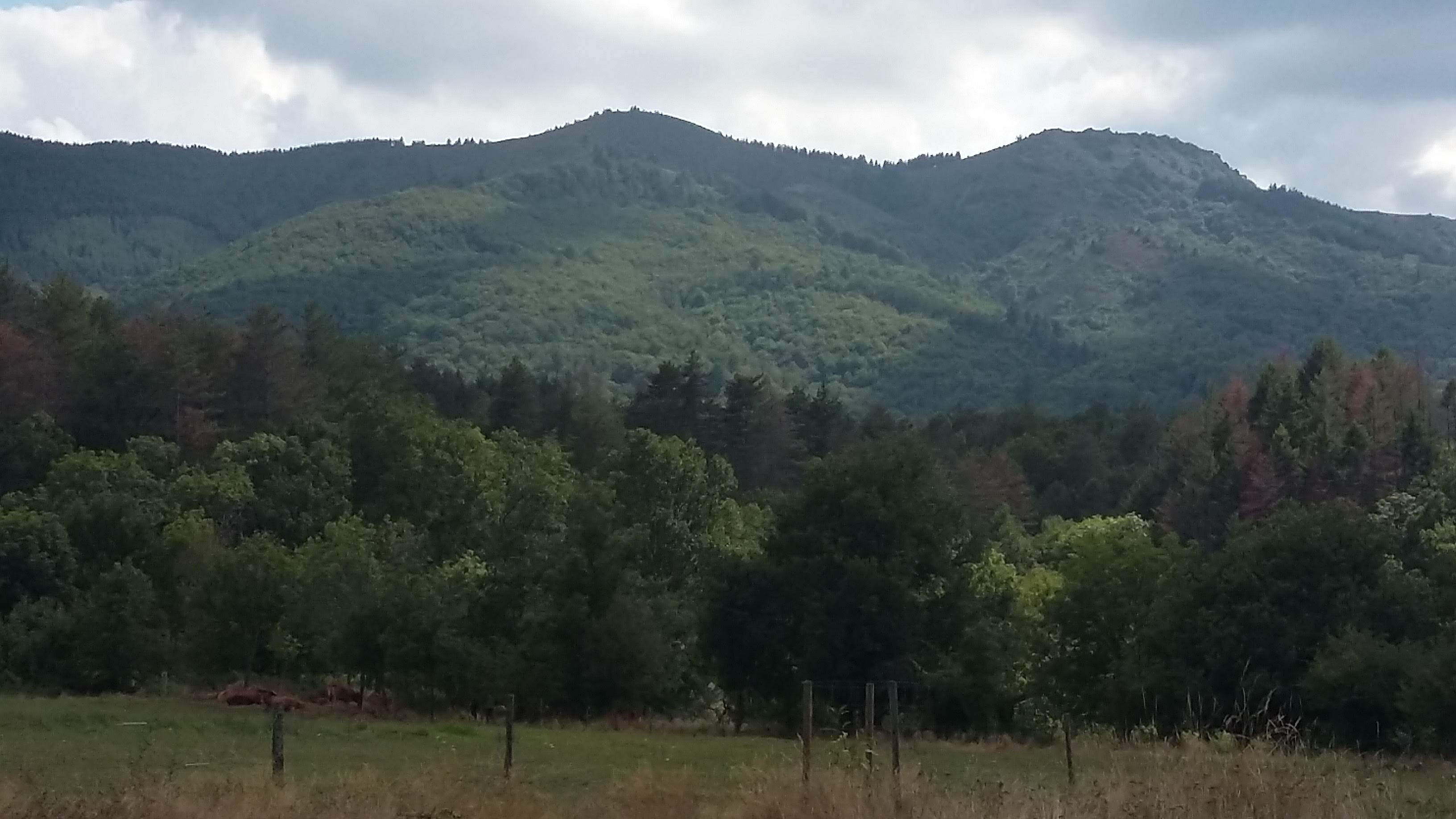 Photo n° 4 de l'avis de Carole. fait le 21/08/2020 à 04:52