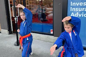 Canada's Best Karate image