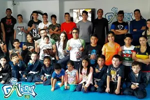 Galeras BJJ image