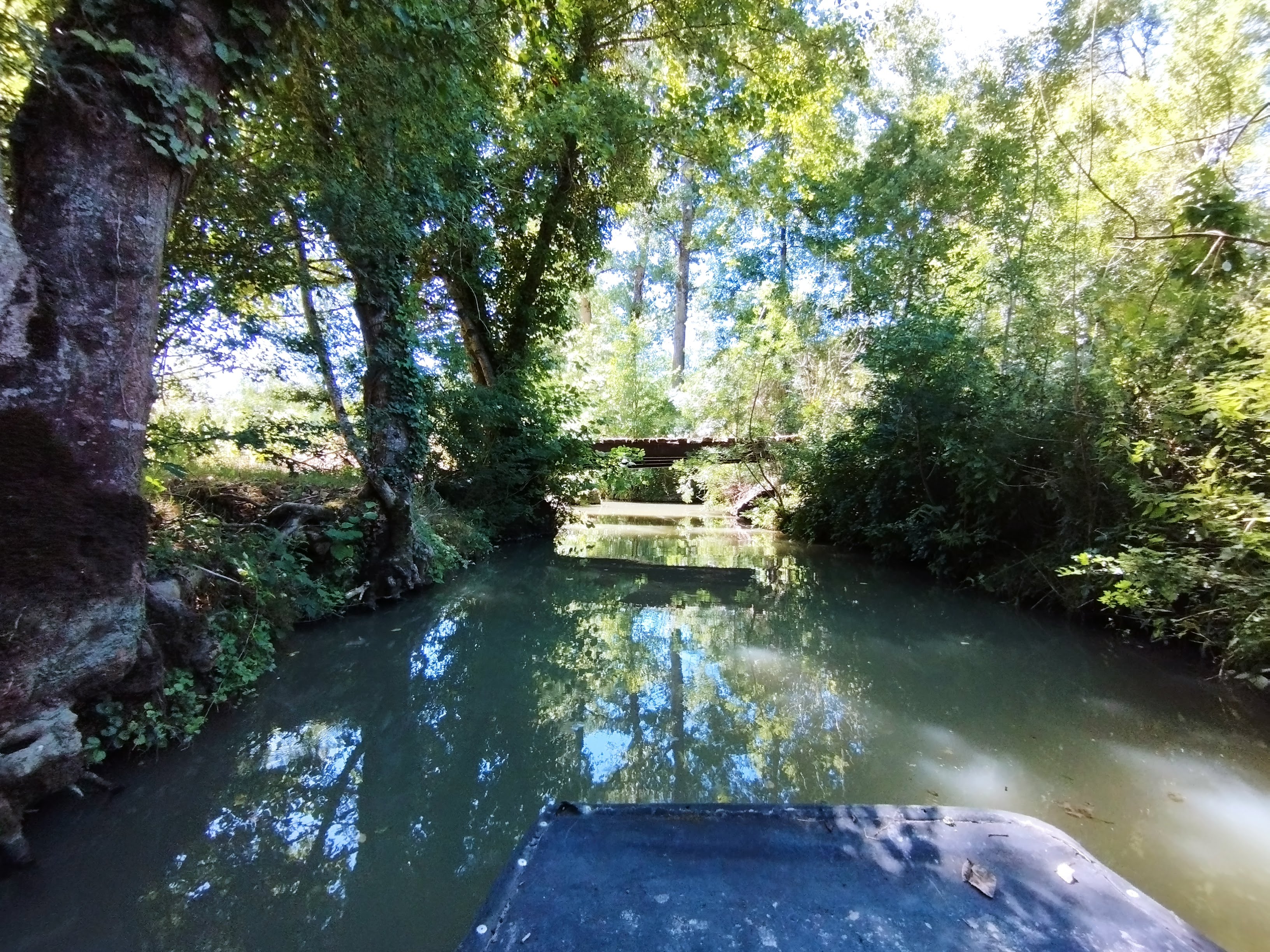 Photo n° 2 de l'avis de Les.a fait le 28/07/2022 à 10:34