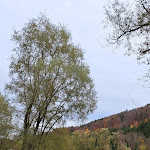 Photo n°3 de l'avis de Helmut.i fait le 19/11/2023 à 19:03 sur le  Klostergasthof Raitenhaslach à Burghausen