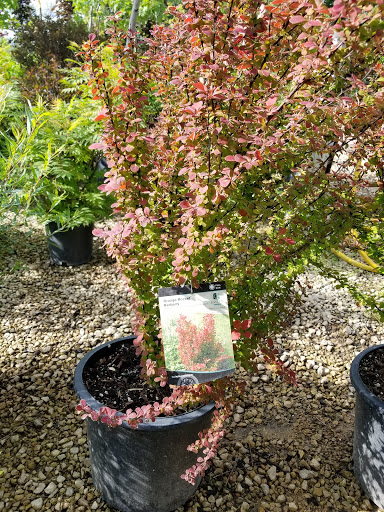 Garden Center «Lilydale Garden Center», reviews and photos, 941 Sibley Memorial Hwy, St Paul, MN 55118, USA