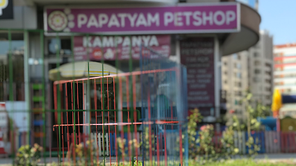 Papatyam Pet Shop