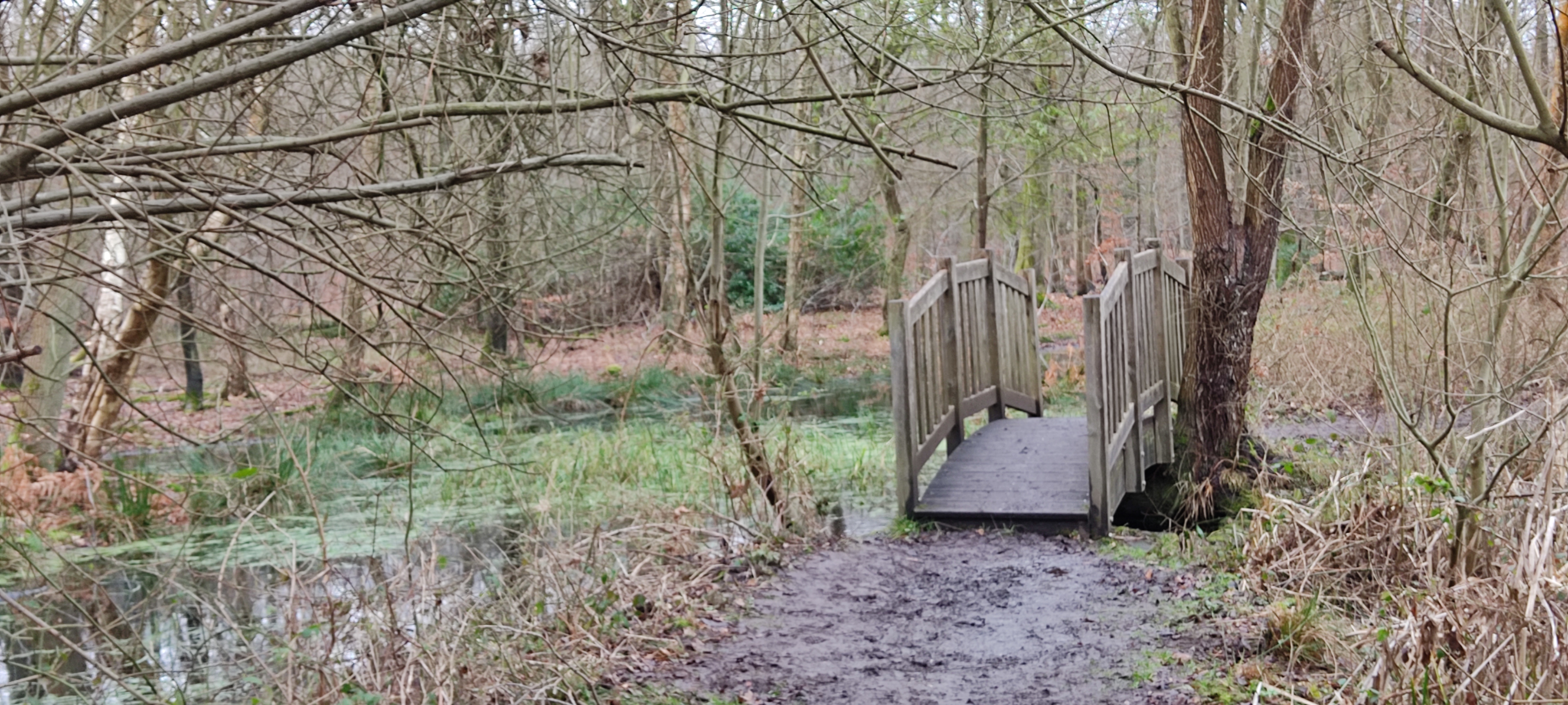 Photo n° 11 de l'avis de Marie.r fait le 02/02/2022 à 15:06