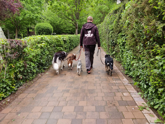 Kommentare und Rezensionen über Hundezentrum Freiburg