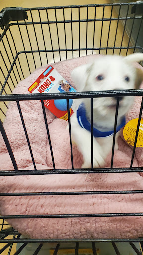 Pet Supply Store «Petco Animal Supplies», reviews and photos, 244 Pioneer Trail, Chaska, MN 55318, USA