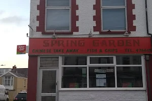 SPRING GARDEN Chinese Fish And Chips Takeaway image