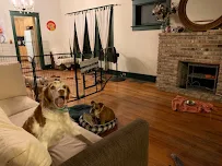 Pet Squire -Brickell - Car repair in Miami, FL, Miami - Rated 5.0/5