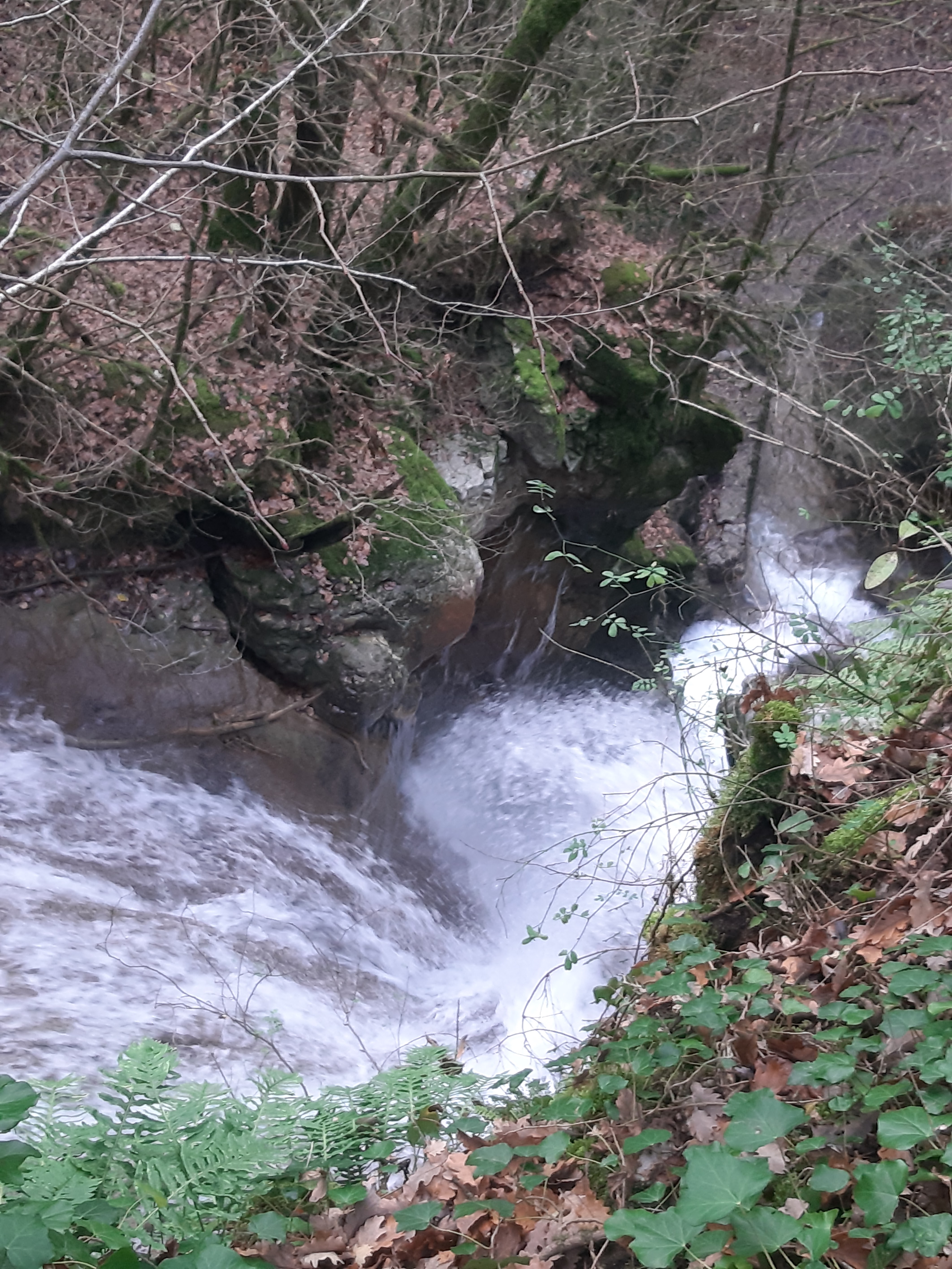 Photo n° 2 de l'avis de Yolande.a fait le 11/12/2022 à 15:15