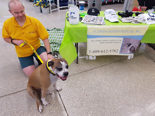 Pet Supply Store «Petco Animal Supplies», reviews and photos, 11147 Park Blvd N, Seminole, FL 33772, USA