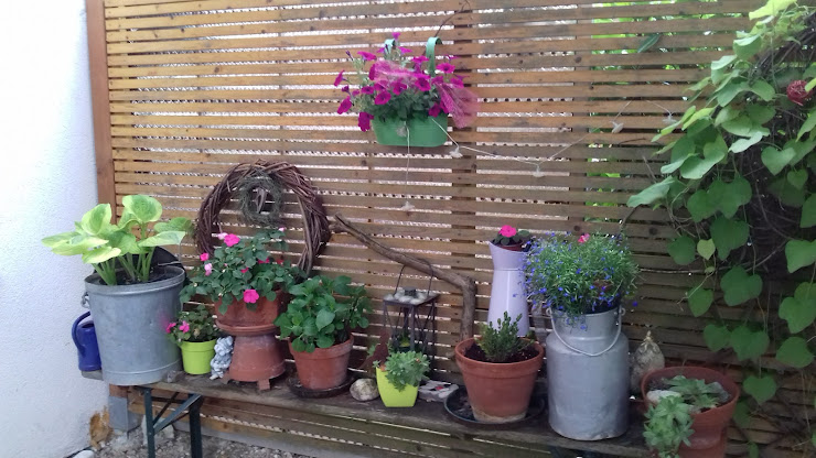 Photo Ferienwohnung Ferienwohnung Am Rosenbaum 96052 Bamberg