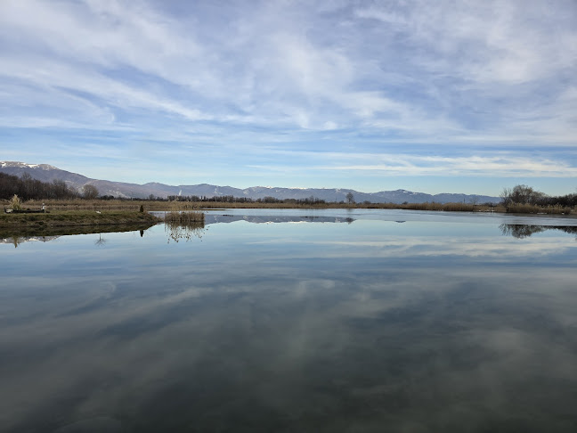 Comentarii opinii despre "Тихият кът"