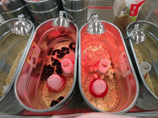 Home Improvement Store «Tractor Supply Co.», reviews and photos, 144 US-202, Ringoes, NJ 08551, USA